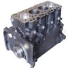 Short Engine A4.236 (Lip Seal)