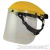 Clear Safety Visor, (99950063)