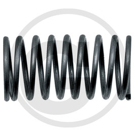 Valve spring inner