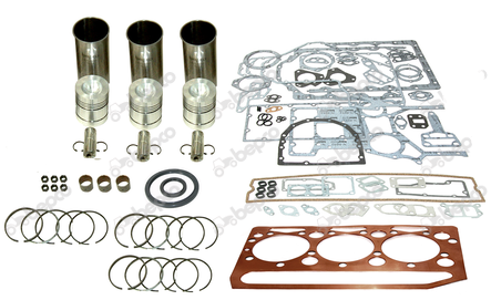 Bepco ENGINE OVERHAUL KIT AD3.152 Lip and rope seal 