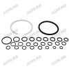 Hydraulic Lift Cylinder Repair Kit,Ford 2000, 3000, 4110, Dexta, Super Dexta 