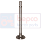 Exhaust valve 