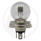 R2 Bulb, 45/40W, P45t