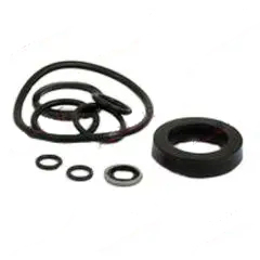 Cylinder Ram Seal Kit MF 100,200