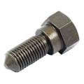 Pivot bolt bonnet x 2, (03602855)