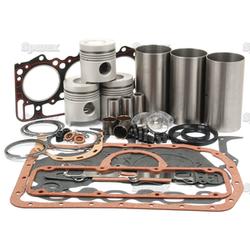 3000 Engine kit and Valve Kit , (05201048)