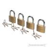 Keyed Alike Padlocks