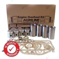 TEF Engine kit No valves, (03201524)