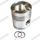 Piston, Pin & Clips