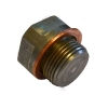 Sump Plug  35