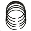 Piston Ring Set Leyland  5 Ring Set