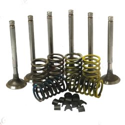 Valve Train Kit  David Brown 1190, 1194, 780, 880, 885 