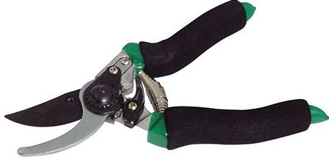 Pruning Shears