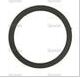 Gasket fuel bowl glass, (03301505)